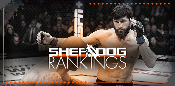 Sherdog’s Official Mixed Martial Arts Rankings